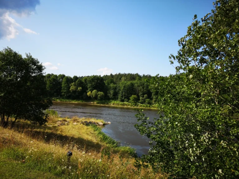 badavimo stovykla, sąmoningo badavymo stovykla, stovyklos, badavymas, badas, edita esenku, sveikata, sveikas kunas, Sąmoningai saugiai badauti su grupės palaikymu ir qigong praktikomis daug lengviau, nei namuose - kviečiame į organizmo valymo savaitgalį su nuostabių moterų kompanija ir didelę asmeninių badavimų ir stovyklų organizavimo patirtį turinčia DAO praktikų instruktore Edita Esenku. Badavimo stovyklos programa vyks Kaišiadorių raj., etnografinio stiliaus naujos statybos sodyboje (85km nuo Vilniaus ir 50km nuo Kauno) - jaukiame gamtos prieglobstyje, nuošaliai prie upės. Jūsų laukia fizinis, emocinis ir energetinis apsivalymas, organizmo restartas, apsivaliusios mintys ir sustiprėjusi valia po stovyklos tęsti protarpinį nevalgymą derinant su sveikesne mityba. Skirti laiko sau, ne tik šeimai - itin svarbus aspektas, kuris padeda moteriai atsinaujinti ir sužydėti.